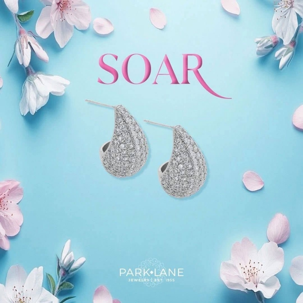 Park Lane Soar Earrings